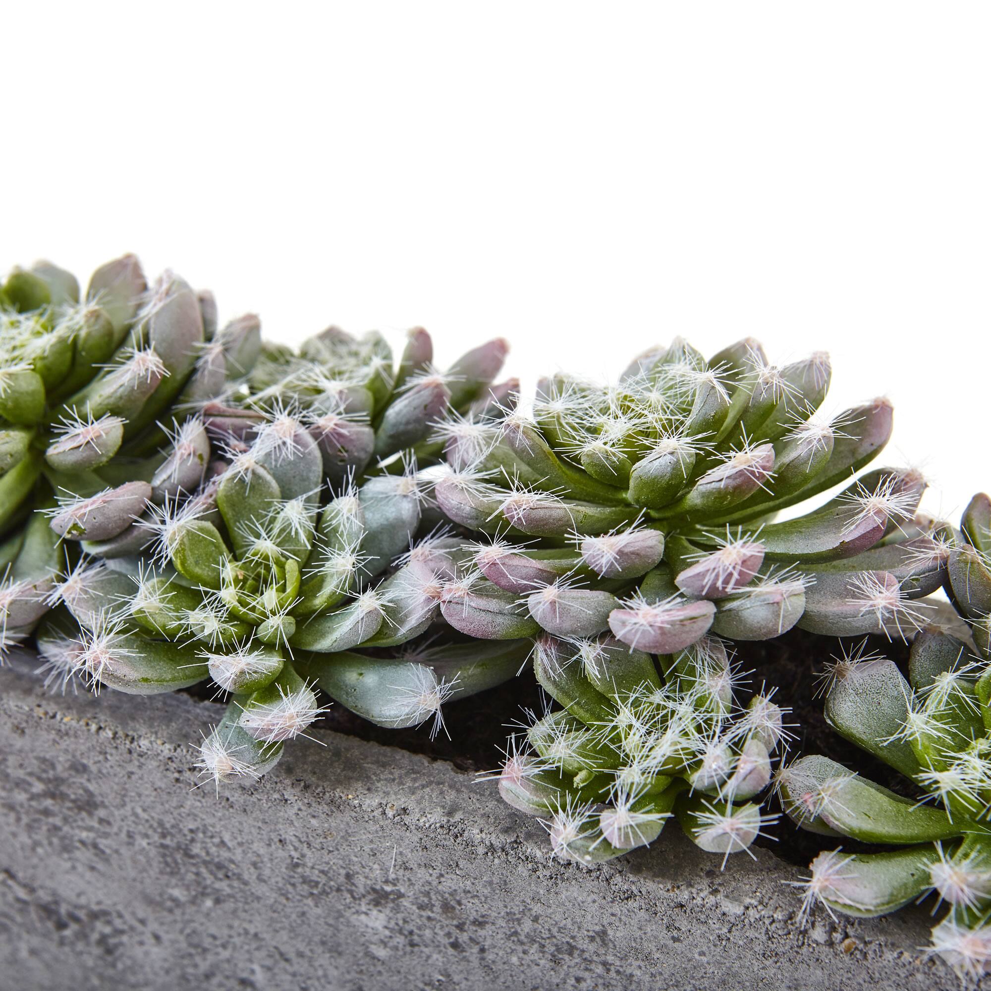 13.5" Succulent Garden with Textured Concrete Planter